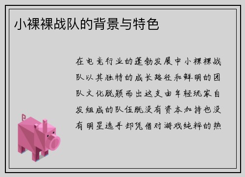小裸裸战队的背景与特色